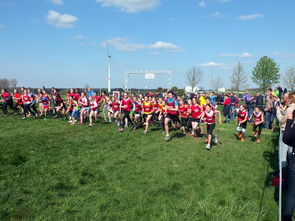 Jiuyou-中国篮球青少年篮球发展政策落实，国家对青少年篮球的政策